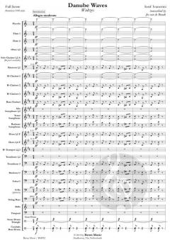 Danube Waves von Iosif Ivanovici 