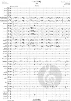 The Gadfly von Dmitri Schostakowitsch 