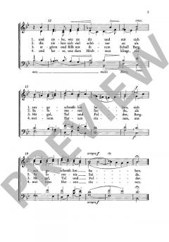 Gebet / Sommerlied / Unser lieben Frauen Traum von Max Bruch (Download) 