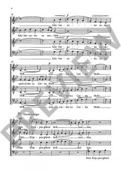 Nun komm der Heiden Heiland Wk 323 von Wolfgang Stockmeier (Download) 