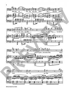 Auf in den Kampf, Torero! von Georges Bizet (Download) 