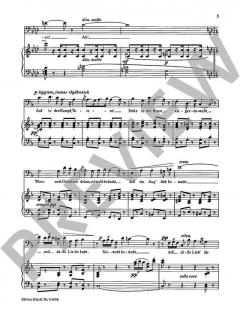 Auf in den Kampf, Torero! von Georges Bizet (Download) 