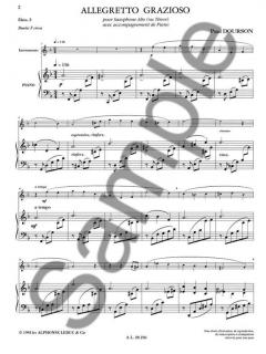 Allegretto Grazioso von Paul Dourson 