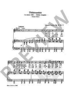 Feldeinsamkeit / Sapphische Ode von Johannes Brahms (Download) 