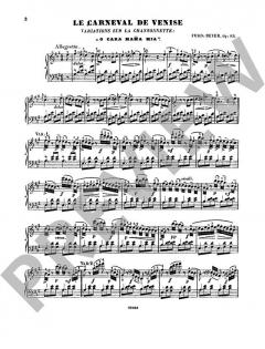 Karneval von Venedig 