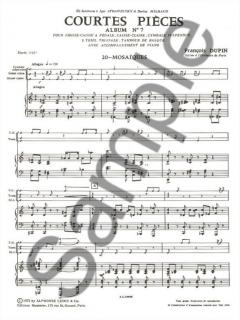 Courtes Pieces Vol. 7 von Francois Dupin 