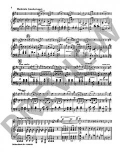 Geschichten aus dem Wienerwald von Johann Strauss (Sohn) (Download) 