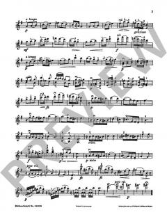 Slawischer Tanz e-Moll von Antonín Dvořák (Download) 