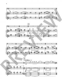 Concerto no. 1 von Peteris Vasks (Download) 
