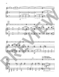 Concerto no. 1 von Peteris Vasks (Download) 