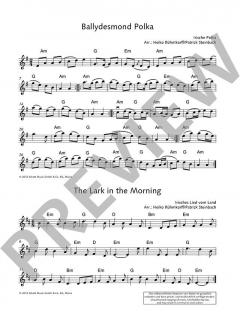 The Irish Violin Book (Download) im Alle Noten Shop kaufen