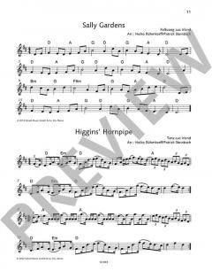 The Irish Violin Book (Download) im Alle Noten Shop kaufen