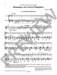 Homenaje a un Carrero Patagónico von Marcelo Coronel (Download) 