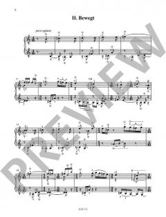 Last Encores (Letzte Zugaben) von Georg Schmitz (Download) 