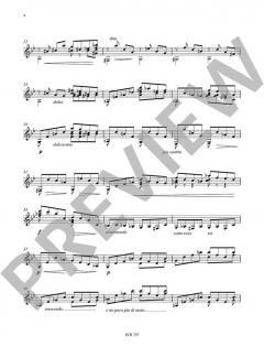 Andante Appassionato / Capriccio Cromatico von Alexis Rago (Download) 