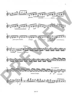 Andante Appassionato / Capriccio Cromatico von Alexis Rago (Download) 