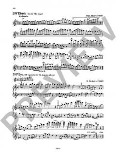 Das Geigenspiel von Josef Schloder (Download) 