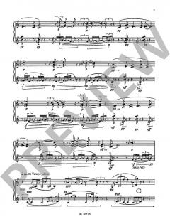 Kleinwelt von Werner Heider (Download) 