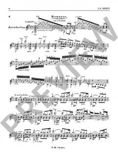 Guitar Works von Johann Kaspar Mertz (Download) 