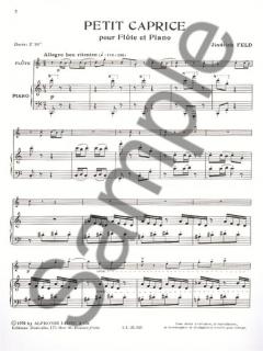 Petit Caprice von Jindrich Feld 