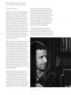 Pierre Bensusan Guitar Collection 