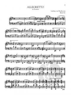 Selected Piano Pieces von Ludwig van Beethoven 