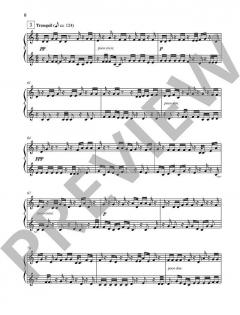 17 Trances of the Pomegranate Tree von Xuntian He (Download) 