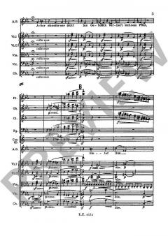 Rhapsodie op. 53 von Johannes Brahms (Download) 