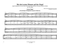 Die 3 ersten Monate auf der Orgel op. 121 von Johann Christian Heinrich Rinck im Alle Noten Shop kaufen