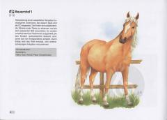 Musikgarten 2 - Herbst-Winter - Liederheft mit CD 2 von Lorna Lutz Heyge 