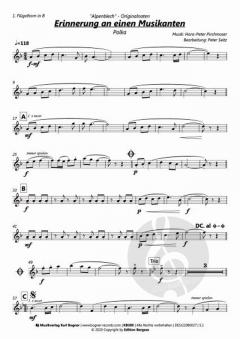 Erinnerung an einen Musikanten von Alpenblech 