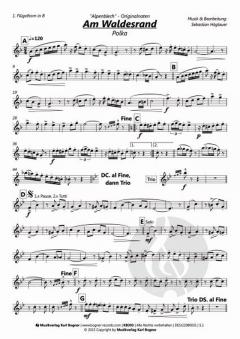 Am Waldesrand von Sebastian Höglauer 