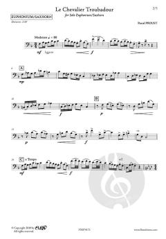 Le Chevalier Troubadour von Pascal Proust 