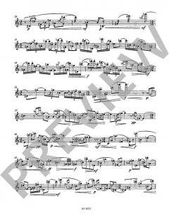 Ikarus WV 27 für Soloflöte von Lehmann,Markus (Download) im Alle Noten Shop kaufen