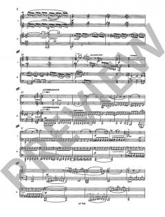 Neues Duo nach der 'Schönen Lau' von Peter Michael Braun (Download) 