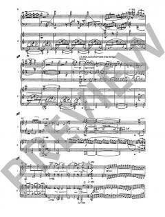 Neues Duo nach der 'Schönen Lau' von Peter Michael Braun (Download) 