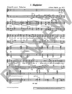 Fremde Fühlung op. 107 von Wilhelm Rettich (Download) 