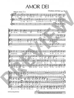 Amor dei von Wilhelm Rettich (Download) 