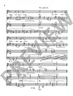 Drie Liederen op. 83 A von Wilhelm Rettich (Download) 