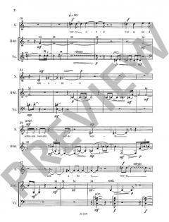 Worte, Schatten, Spiele von Christian Banasik (Download) 