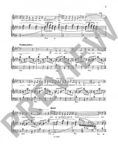 Sarkasmen von Hans-Klaus Langer (Download) 