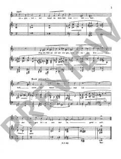 2 Lieder von Hans-Klaus Langer (Download) 