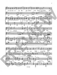 Der Cellospieler op. 39 von Wilhelm Rettich (Download) 