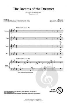 The Dreams of the Dreamer von Bruce W. Tippette 