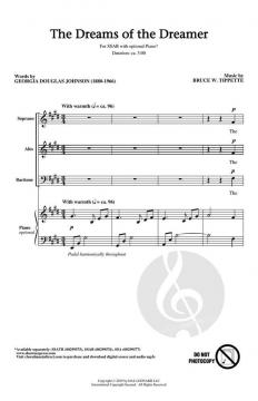 The Dreams of the Dreamer von Bruce W. Tippette 