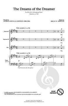 The Dreams of the Dreamer von Bruce W. Tippette 