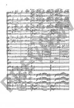 Don Juan op. 20 von Richard Strauss 