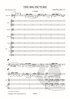 The Big Picture von Judith Weir 