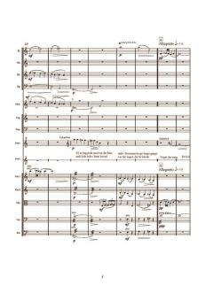 Hermans Melodi von Anders Koppel 