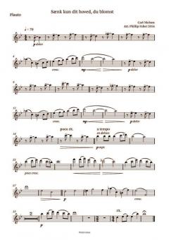 6 Songs By Carl Nielsen 